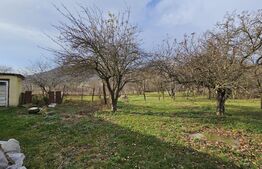 Casa individuala 4 camere, 105 mp, 2593 mp teren, comuna Vintu de Jos