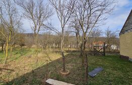 Casa individuala 4 camere, 105 mp, 2593 mp teren, comuna Vintu de Jos