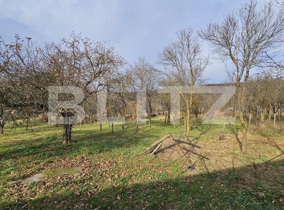 Casa de vânzare 4 camere Vinţu de Jos - 132266CV | BLITZ Alba Iulia | Poza5