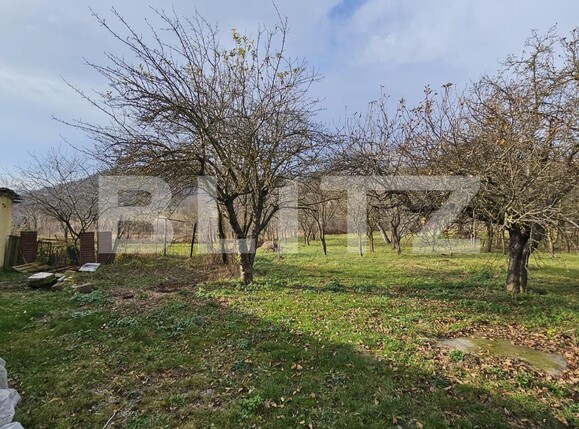 Casa de vânzare 4 camere Vinţu de Jos - 132266CV | BLITZ Alba Iulia | Poza6