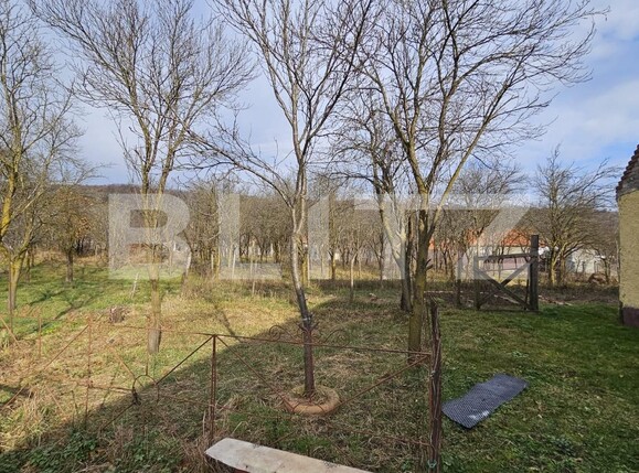 Casa de vânzare 4 camere Vinţu de Jos - 132266CV | BLITZ Alba Iulia | Poza7