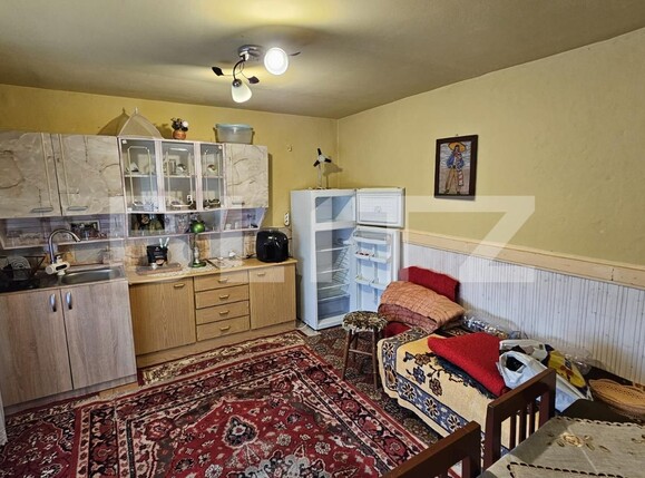 Casa de vânzare 4 camere Vinţu de Jos - 132266CV | BLITZ Alba Iulia | Poza15