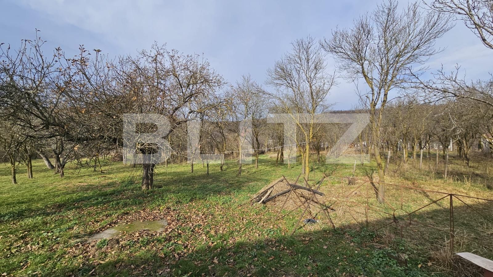 Casa de vânzare 4 camere Vinţu de Jos - 132266CV | BLITZ Alba Iulia | Poza5