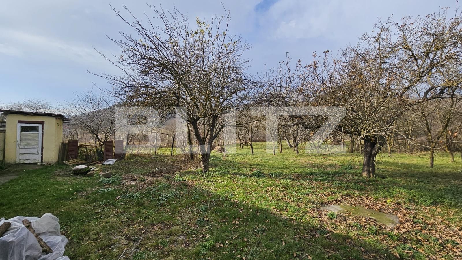 Casa de vânzare 4 camere Vinţu de Jos - 132266CV | BLITZ Alba Iulia | Poza6