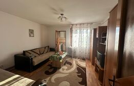 Garsoniera 1 camera,bucatarie,baie, 30 mp, zona Centru