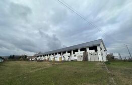 Pensiune 874mp utili si 5635mp teren langa Sebes