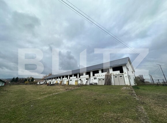 Spațiu comercial de vânzare Sebeș - 132564SVC | BLITZ Alba Iulia | Poza1