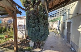 Casă cu 3 dormitoare, 448 mp teren, garaj, pivniță, foisor, toate utilitatile, zona Aiud