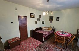 Casă individuala 3 camere, teren 2200 mp, garaj, terasa, pivnita, Pianu de Sus 