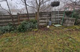 Casă individuala 3 camere, teren 2200 mp, garaj, terasa, pivnita, Pianu de Sus 