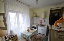 Casă individuala 3 camere, teren 2200 mp, garaj, terasa, pivnita, Pianu de Sus 