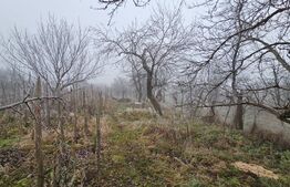 Casă individuala 3 camere, teren 2200 mp, garaj, terasa, pivnita, Pianu de Sus 