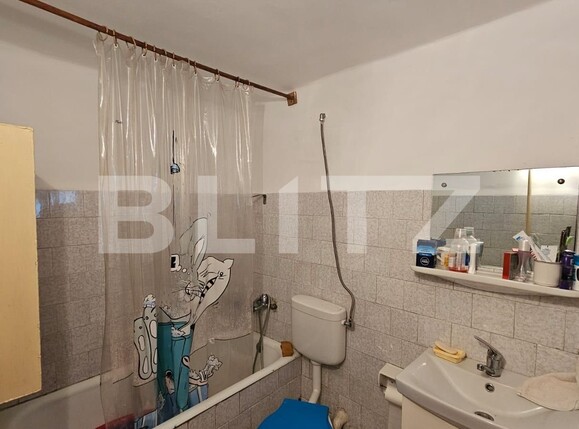 Casa de vânzare 3 camere Periferie - 132708CV | BLITZ Alba Iulia | Poza11