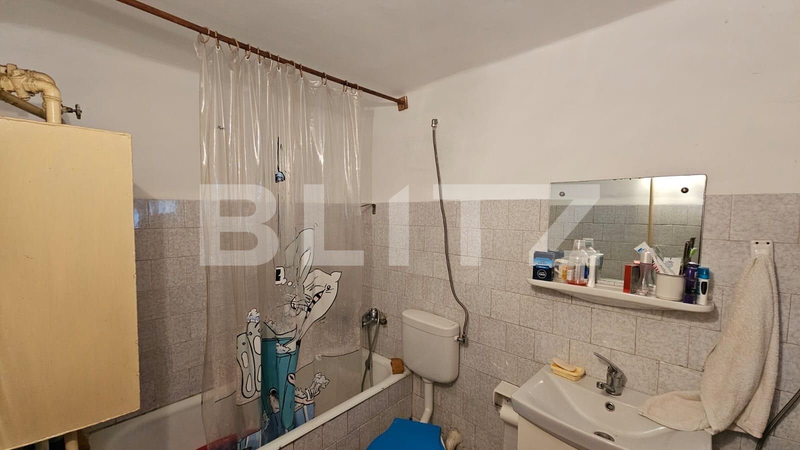 Casa de vânzare 3 camere Periferie - 132708CV | BLITZ Alba Iulia | Poza11