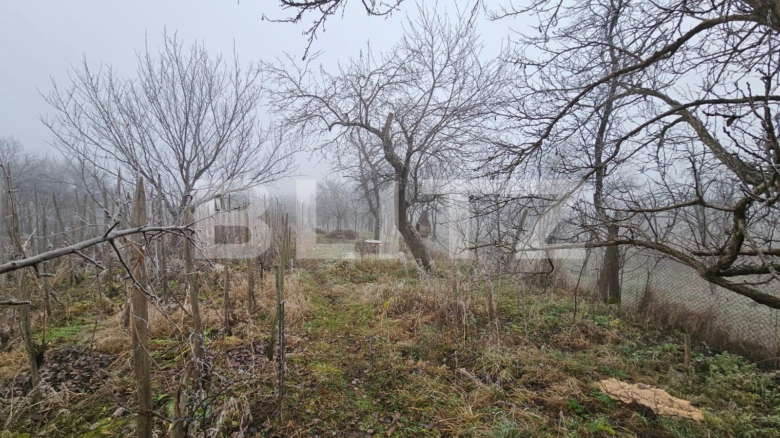 Casa de vânzare 3 camere Periferie - 132708CV | BLITZ Alba Iulia | Poza6