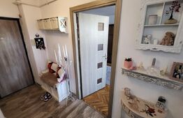 Apartament 3 camere, 65mp, Sebeș