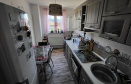 Apartament 3 camere, 65mp, Sebeș