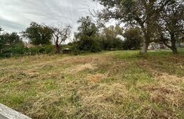 Teren intravilan construibil, 662 mp, zona Micesti