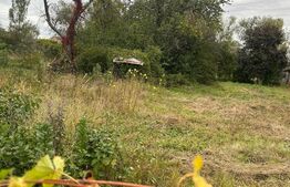 Teren intravilan construibil, 662 mp, zona Micesti