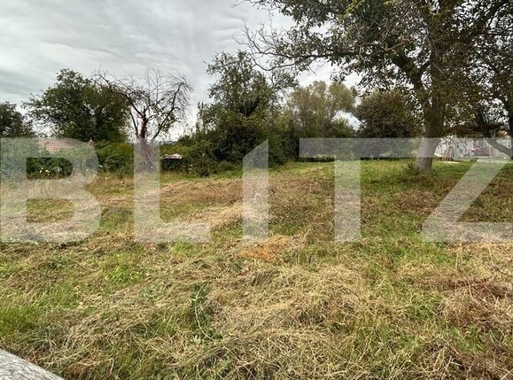 Teren de vânzare Micești - 132867TV | BLITZ Alba Iulia | Poza2