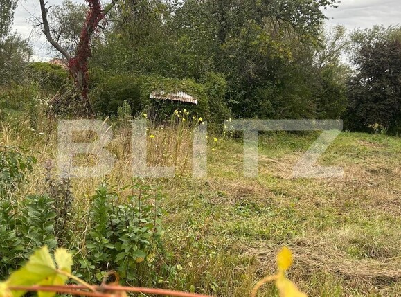 Teren de vânzare Micești - 132867TV | BLITZ Alba Iulia | Poza1