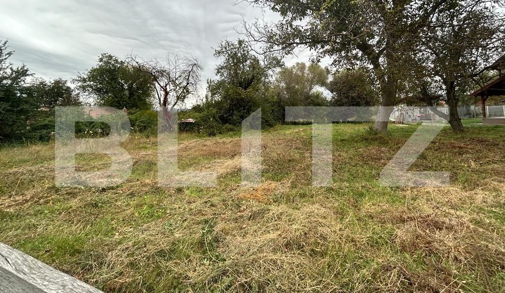 Teren de vânzare Micești - 132867TV | BLITZ Alba Iulia | Poza2