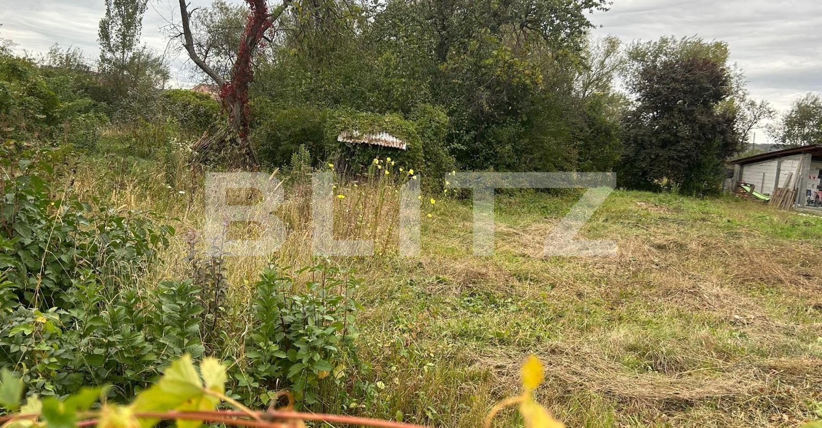 Teren de vânzare Micești - 132867TV | BLITZ Alba Iulia | Poza1