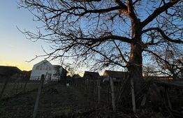 Casă individuală, 3 camere, teren 2357 mp, zona Vințu de Jos