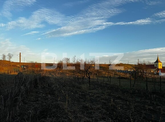 Casa de vânzare 3 camere Vinţu de Jos - 132961CV | BLITZ Alba Iulia | Poza9