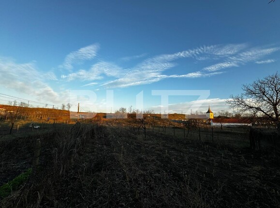 Casa de vânzare 3 camere Vinţu de Jos - 132961CV | BLITZ Alba Iulia | Poza10