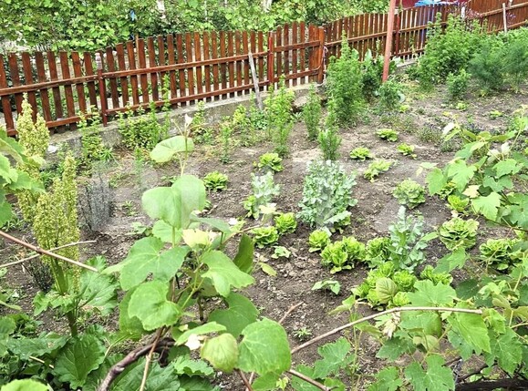 Casa de vânzare 5 camere Blaj - 132997CV | BLITZ Alba Iulia | Poza5