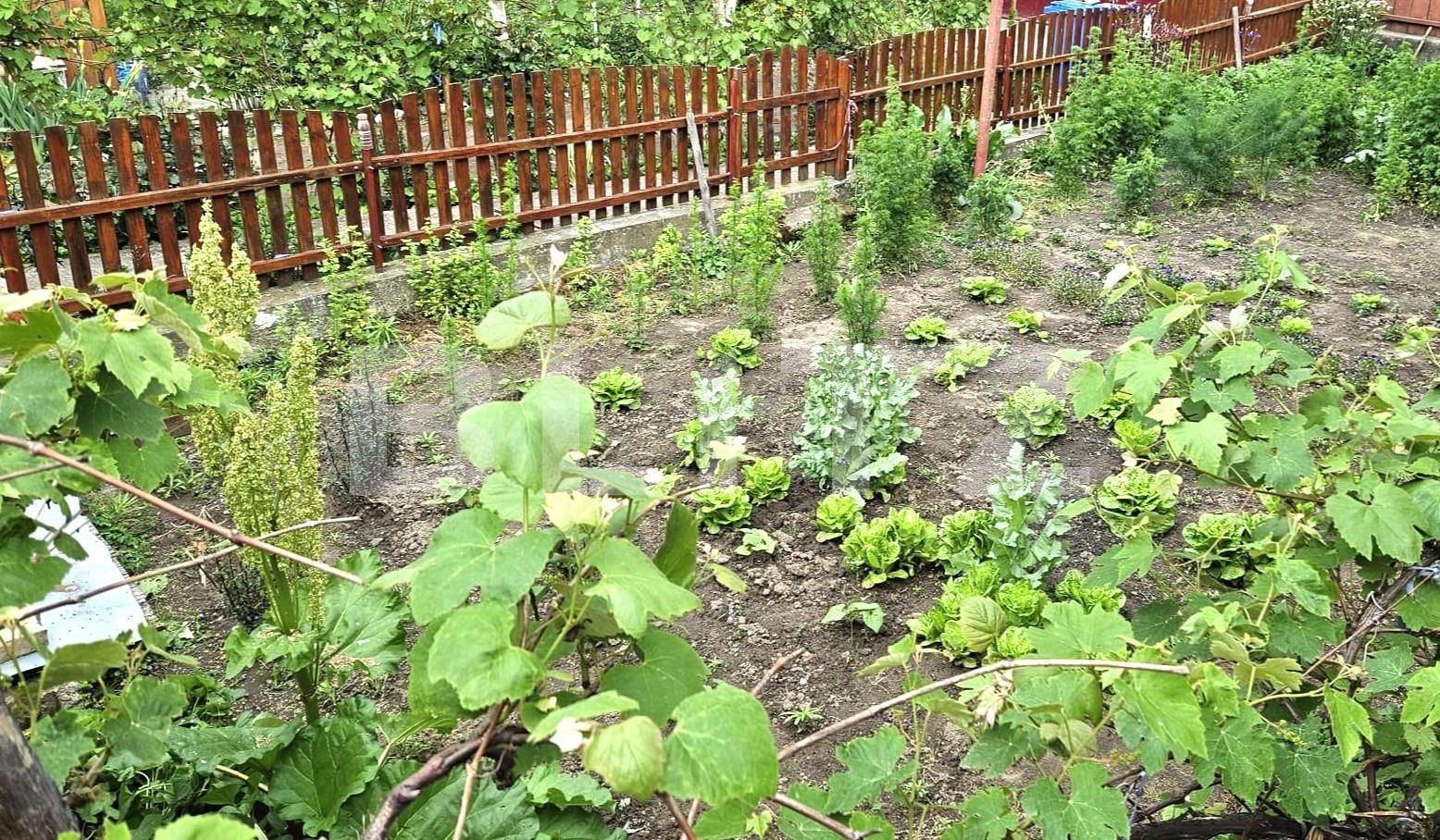 Casa de vânzare 5 camere Blaj - 132997CV | BLITZ Alba Iulia | Poza5