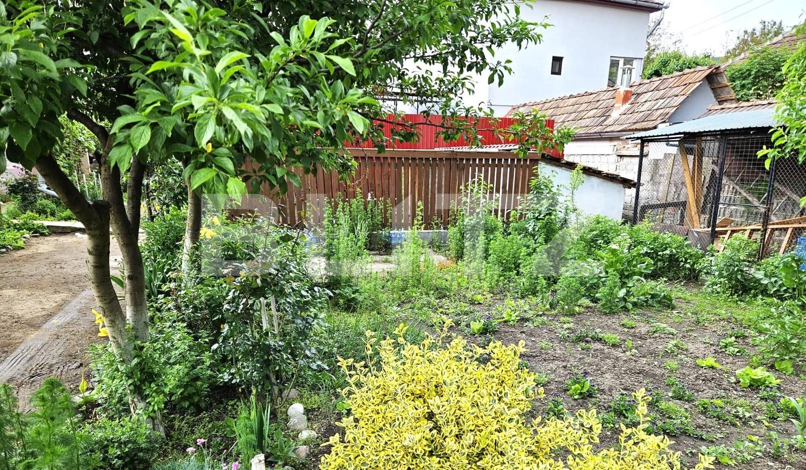 Casa de vânzare 5 camere Blaj - 132997CV | BLITZ Alba Iulia | Poza4