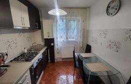 Apartament 2 camere, semidecomandat, 50 mp utili, zona Cetate B-dul Transilvaniei