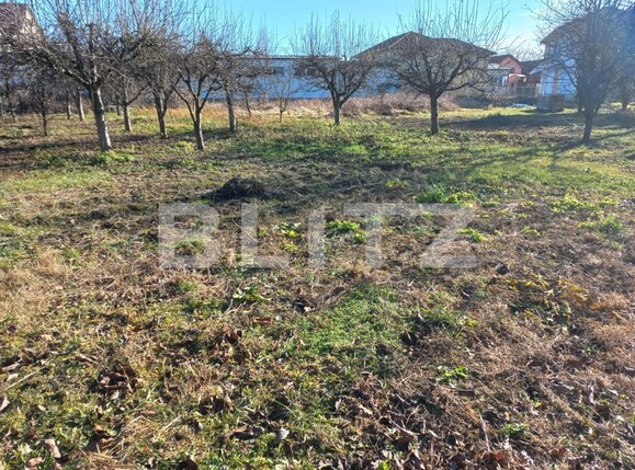 Teren de vânzare Central - 133197TV | BLITZ Alba Iulia | Poza6