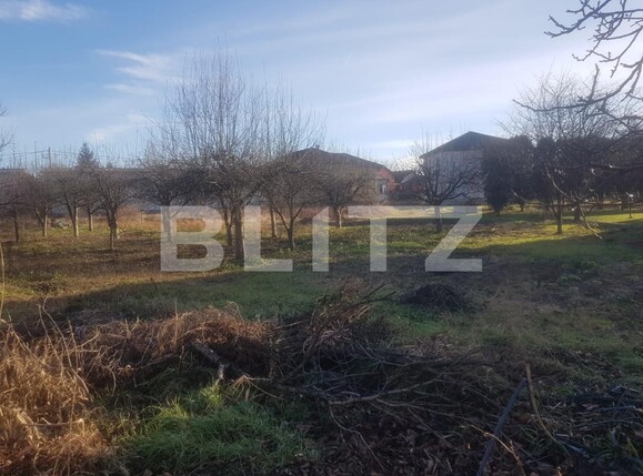 Teren de vânzare Central - 133197TV | BLITZ Alba Iulia | Poza3