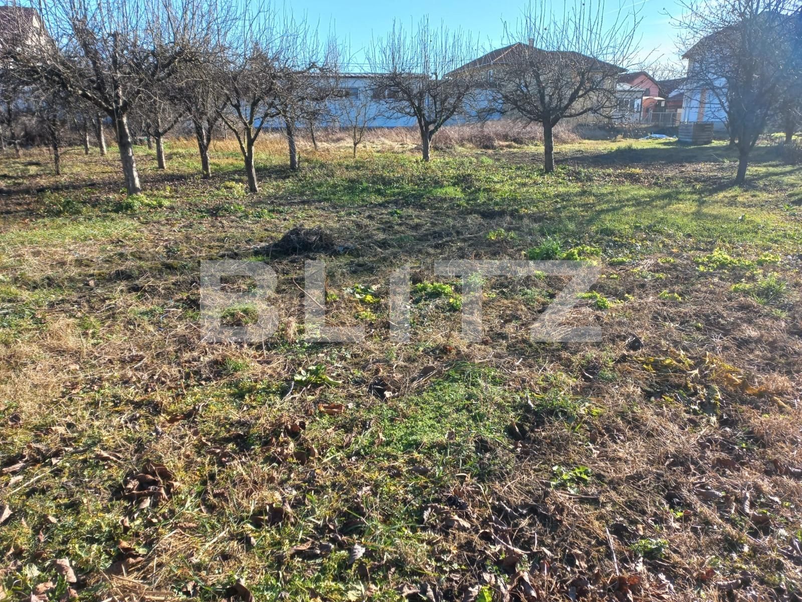 Teren de vânzare Central - 133197TV | BLITZ Alba Iulia | Poza6