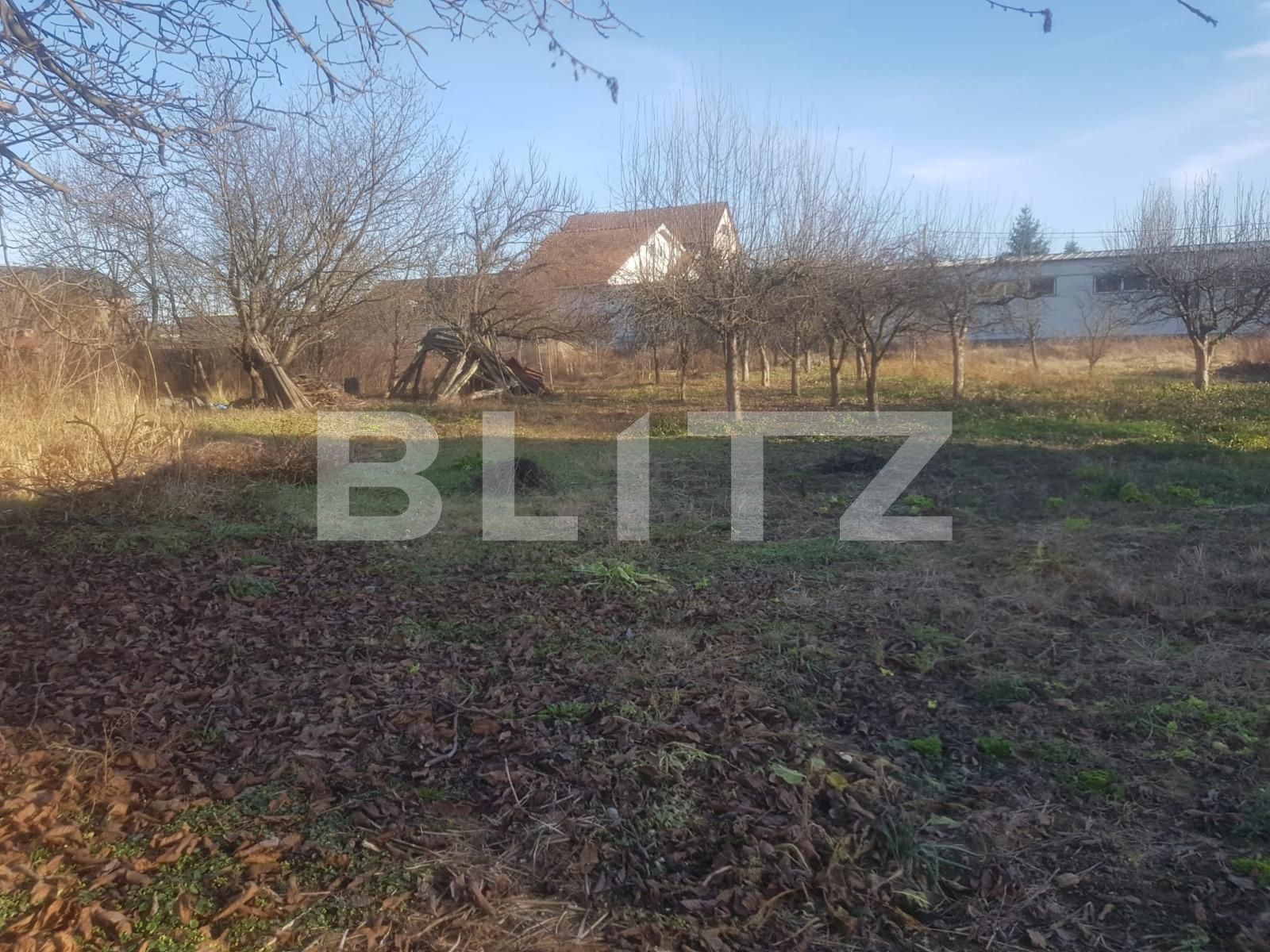 Teren de vânzare Central - 133197TV | BLITZ Alba Iulia | Poza5