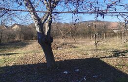 Casa individuala, 2 camere, 75mp, Cricau