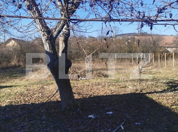 Casa de vânzare 2 camere Exterior Nord - 133451CV | BLITZ Alba Iulia | Poza2