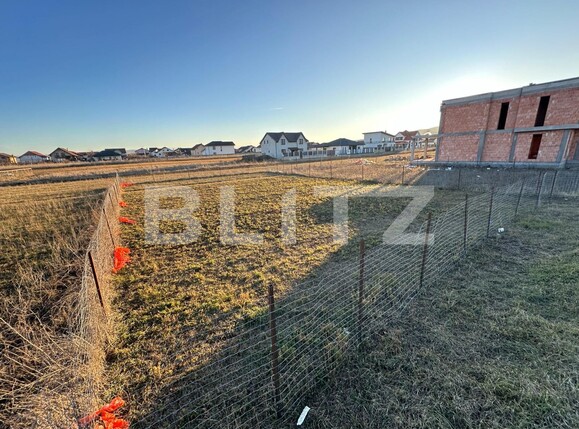 Teren de vânzare Micești - 133536TV | BLITZ Alba Iulia | Poza1