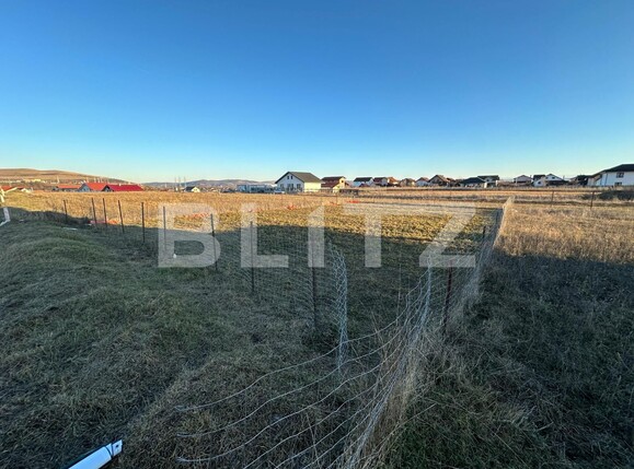 Teren de vânzare Micești - 133536TV | BLITZ Alba Iulia | Poza4