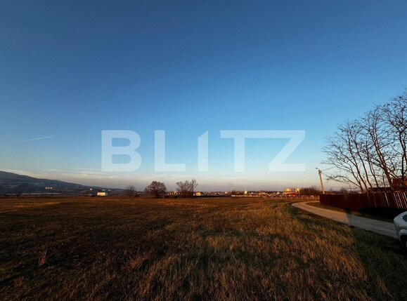 Teren de vânzare Partoș - 133596TV | BLITZ Alba Iulia | Poza4