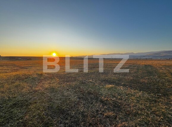 Teren de vânzare Partoș - 133596TV | BLITZ Alba Iulia | Poza5