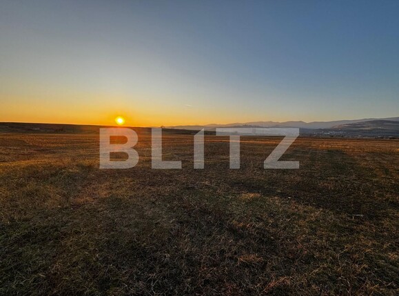 Teren de vânzare Partoș - 133596TV | BLITZ Alba Iulia | Poza1