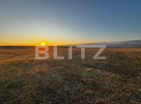 Teren de vânzare Partoș - 133596TV | BLITZ Alba Iulia | Poza6