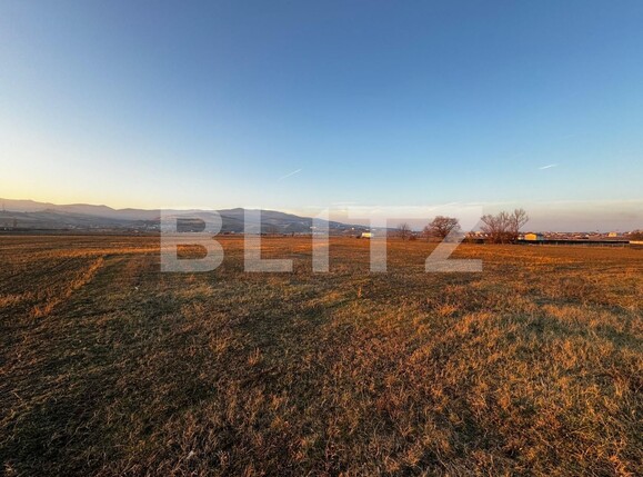 Teren de vânzare Partoș - 133596TV | BLITZ Alba Iulia | Poza3