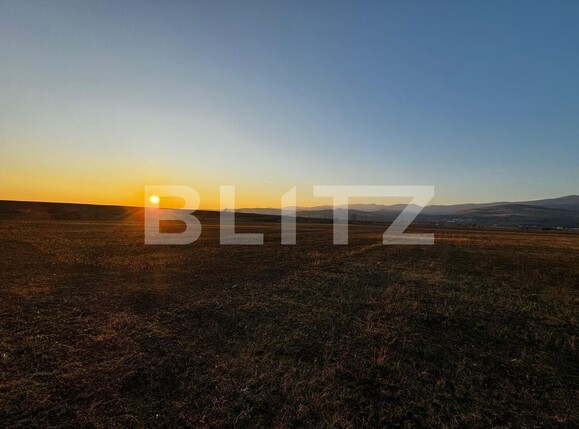 Teren de vânzare Partoș - 133596TV | BLITZ Alba Iulia | Poza7