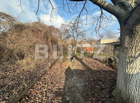 Casa de vânzare 3 camere Aiud - 133664CV | BLITZ Alba Iulia | Poza5