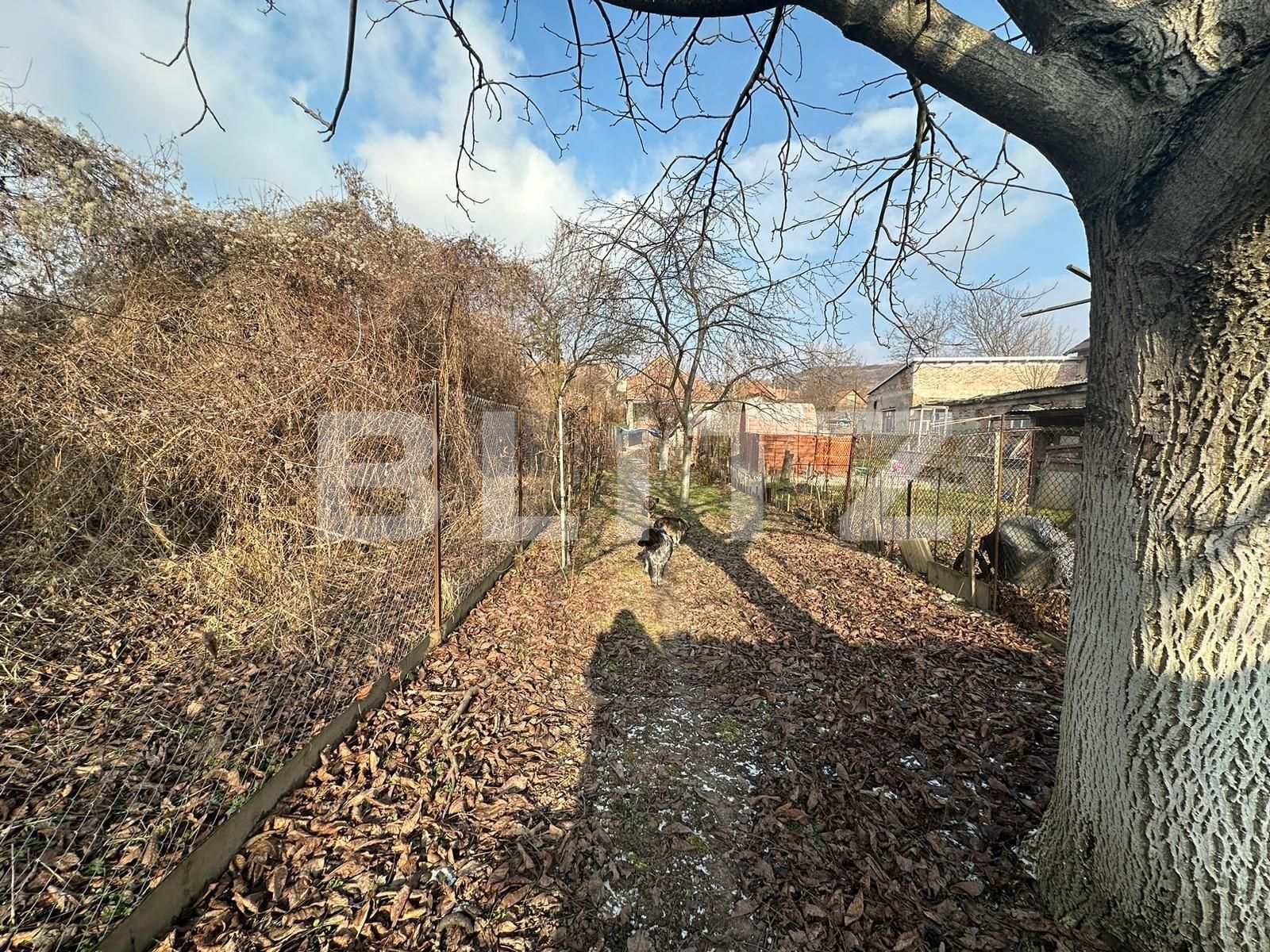 Casa de vânzare 3 camere Aiud - 133664CV | BLITZ Alba Iulia | Poza5